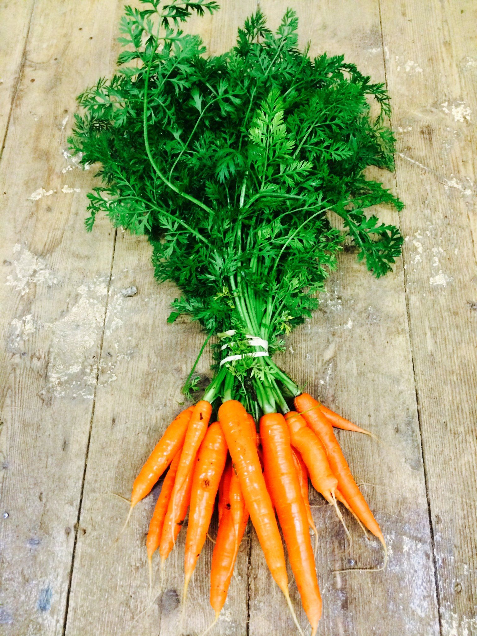 Bunched Carrots