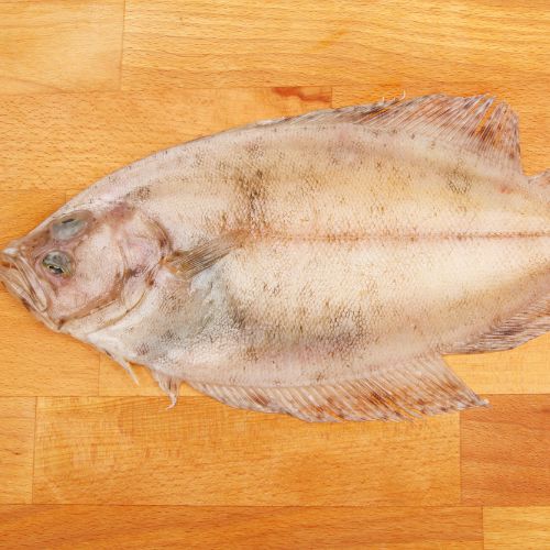 Whole Megrim Sole 454g