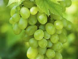 Grapes - Green Seedless 500g