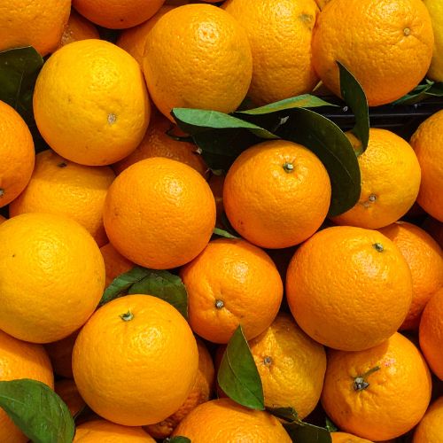Seville Oranges