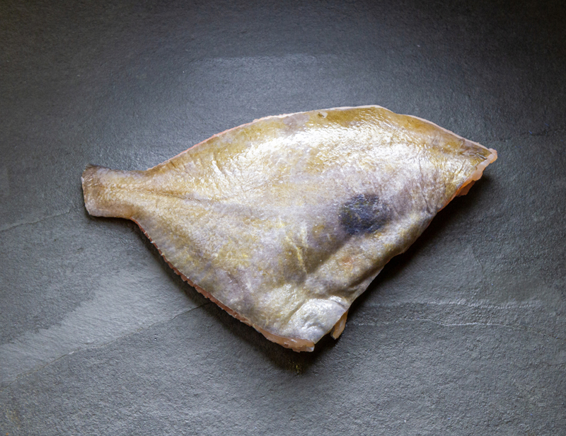 john dory