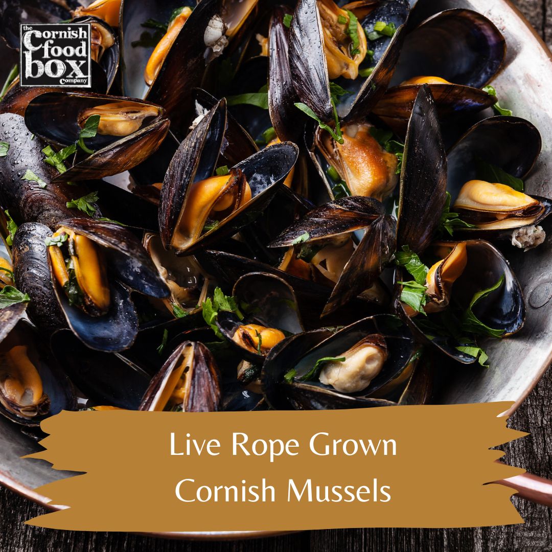 Cornish Live Rope Grown Mussels 2kg