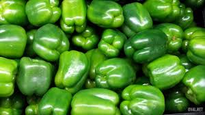Organic Green Pepper 3pk