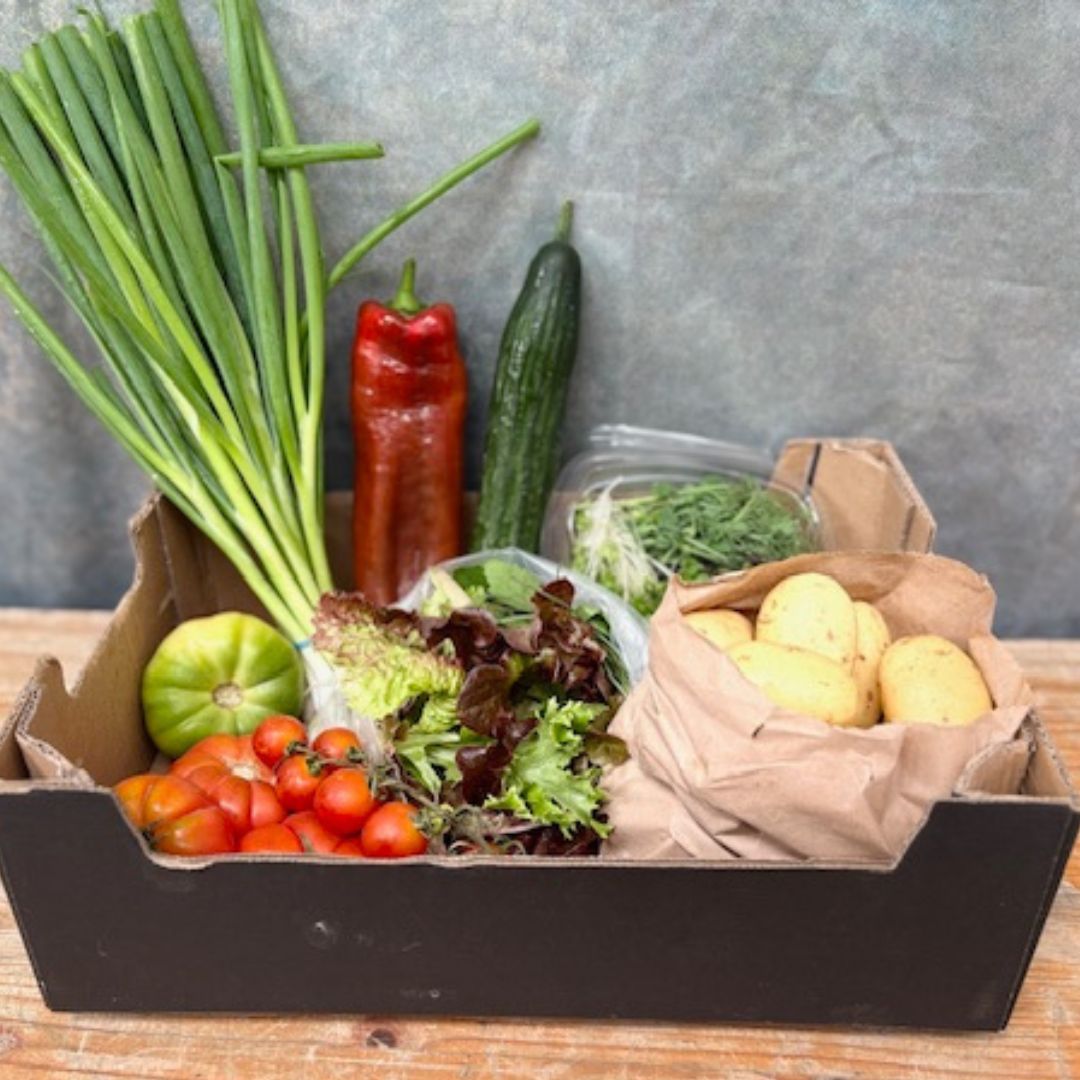 small salad box