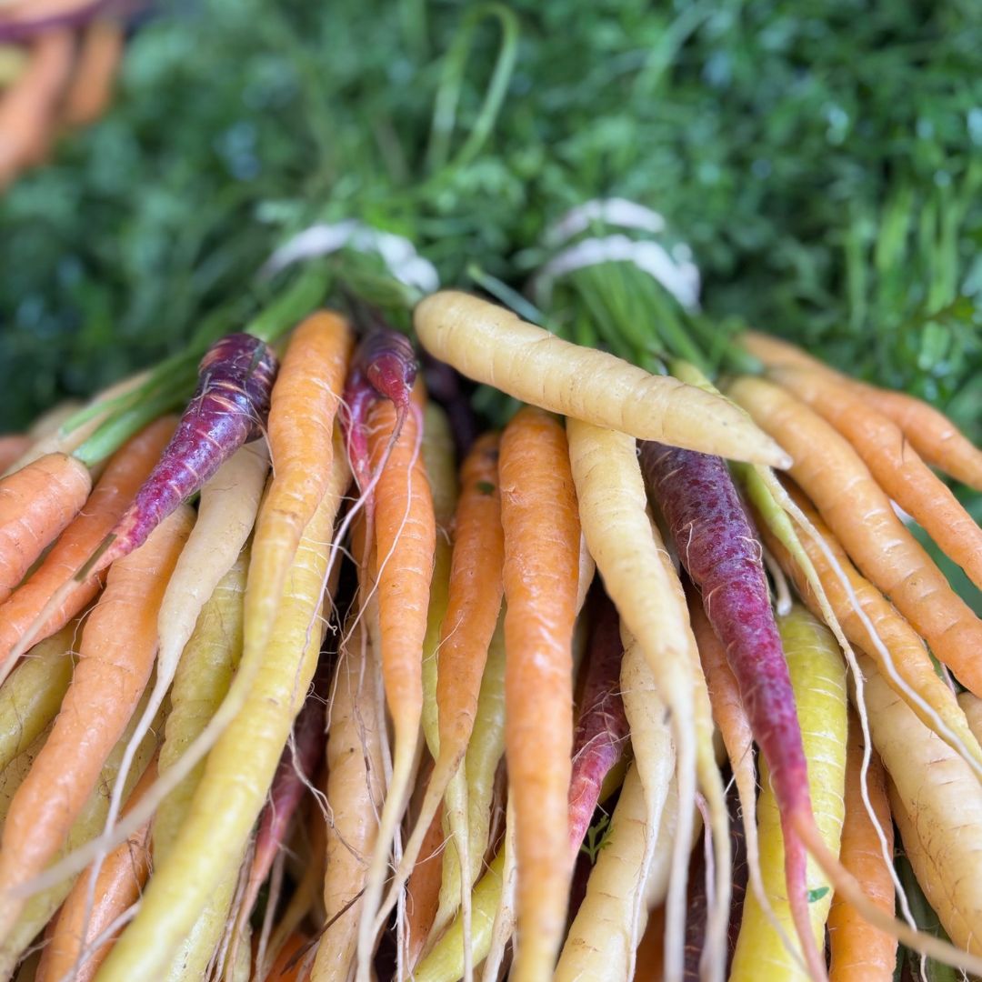 rainbow carrot bunch