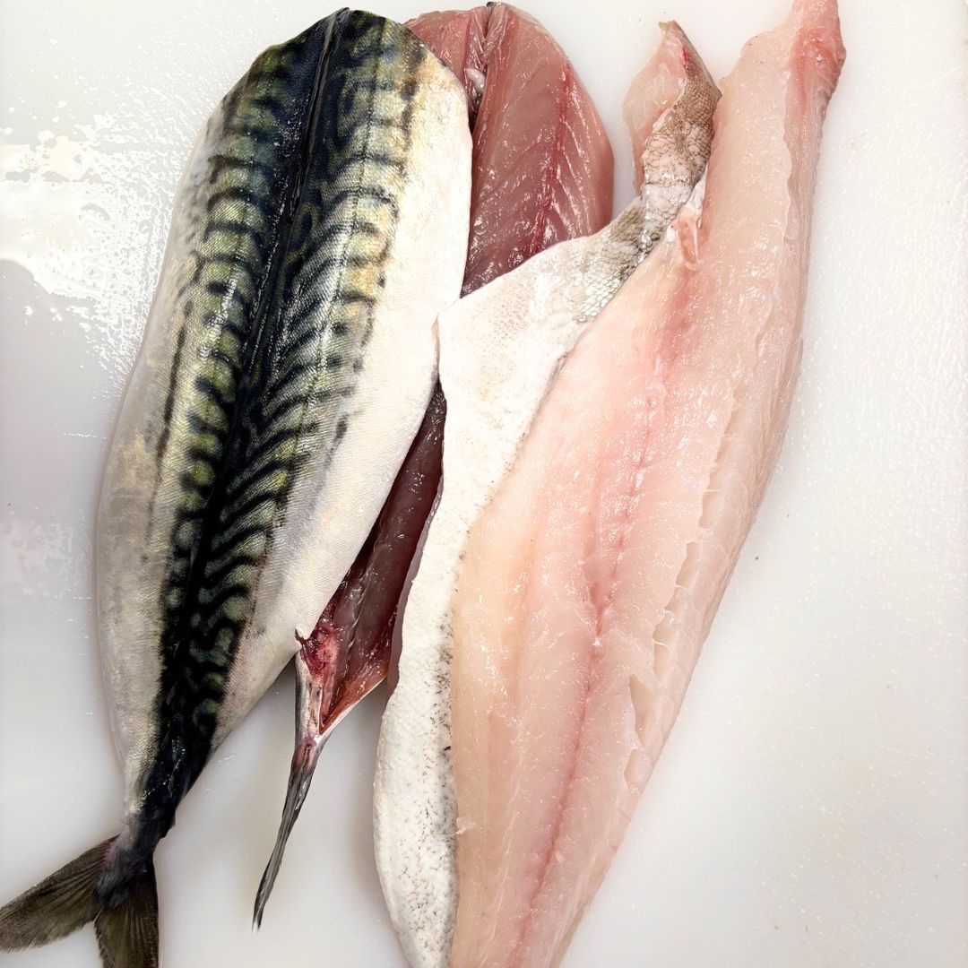 small Cornish fish box contents