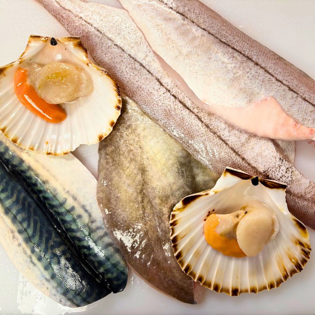 medium cornish fish box 