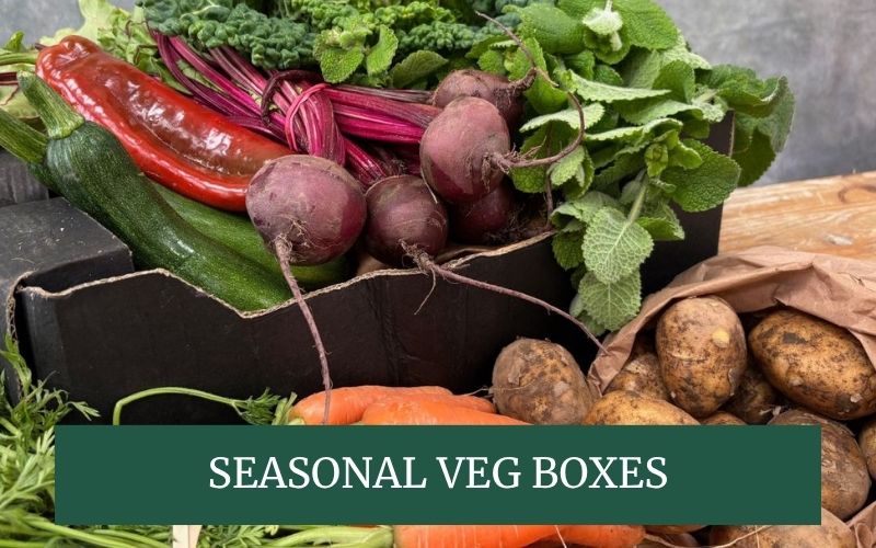 holiday arrivals boxes