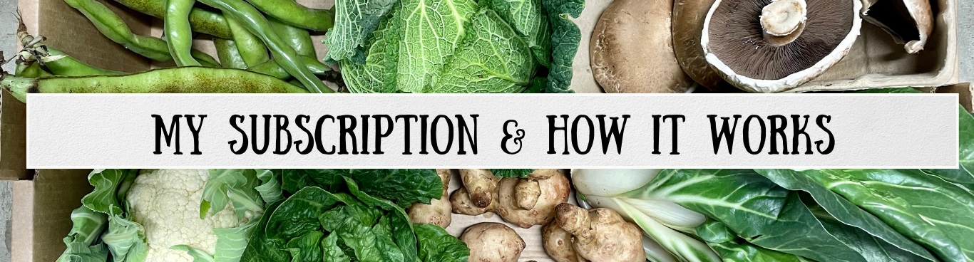 food box subscription