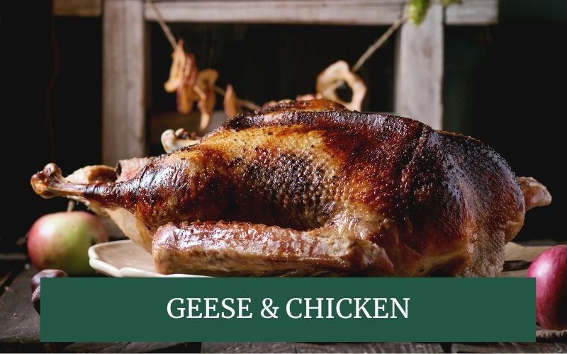 free range Christmas turkey