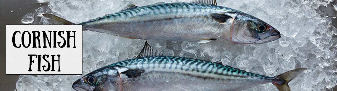 The Cornish Food Box Company fresh fish in ice